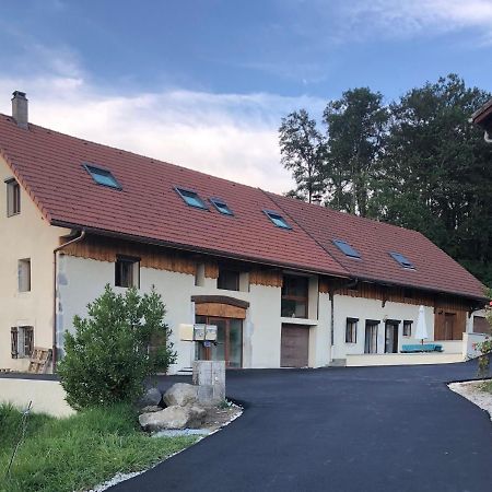 T4 Meuble De 105M2 Axe Annecy-Geneve Apartment Saint-Martin-Bellevue Luaran gambar